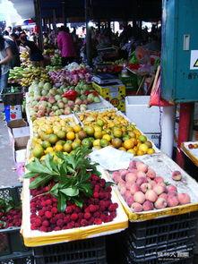 永福县新闻爆料网址,最新动态一网打尽 第2张 永福县新闻爆料网址,最新动态一网打尽 第2张